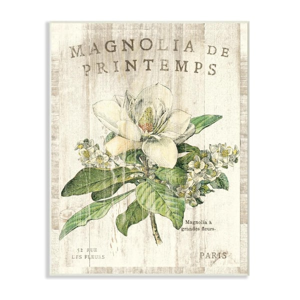 Stupell Industries 12.5 in. x 18.5 in. "French Magnolias In Spring" by Sue Schlabach Printed Wood Wall Art