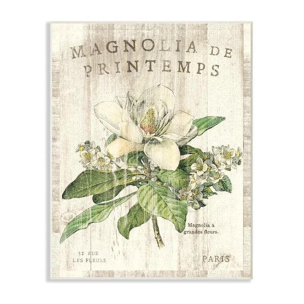 Stupell Industries 10 in. x 15 in. "French Magnolias In Spring" by Sue Schlabach Printed Wood Wall Art