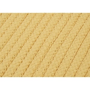 Solid Butter 3 ft. x 5 ft. Braided Indoor/Outdoor Patio Area Rug