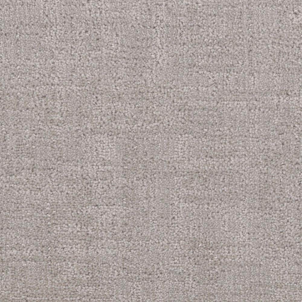 8 in. x 8 in. Pattern Carpet Sample - Wheatfield - Color Powder Gray price history on PriceWatchPro