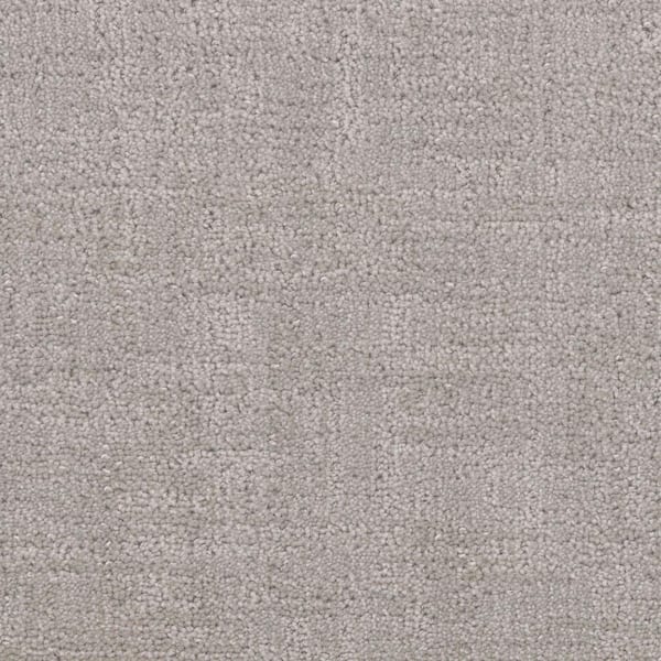 Home Decorators Collection Wheatfield - Powder Gray - 34 oz. SD Polyester Pattern Installed Carpet
