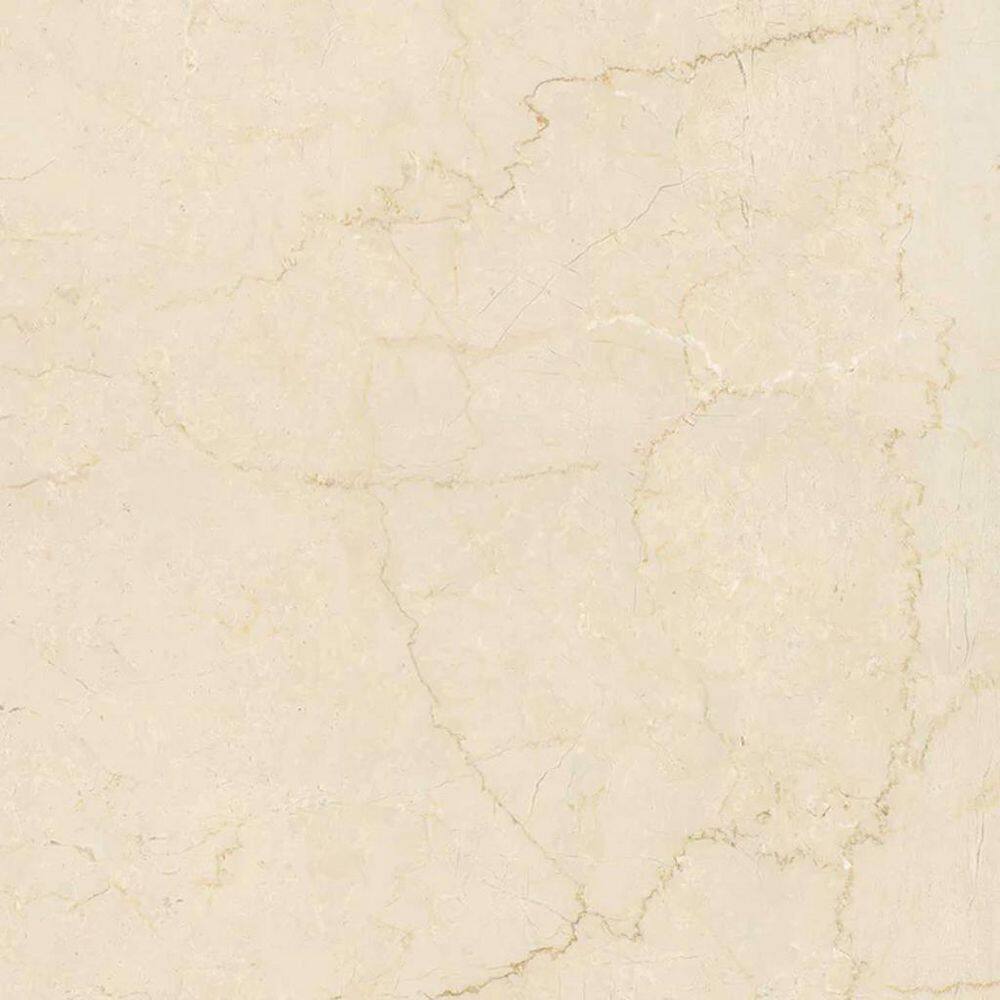 Regalia 4 in. x 4 in. Matte Crema Beige Porcelain Veining Tile Sample (0.14 sq. ft.) price history on PriceWatchPro