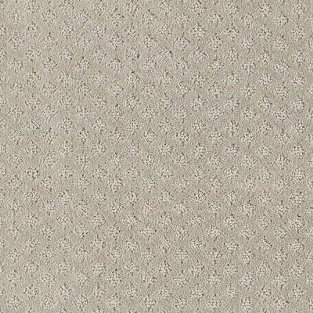 8 in. x 8 in. Pattern Carpet Sample - Lilypad -Color Pinstripe price history on PriceWatchPro