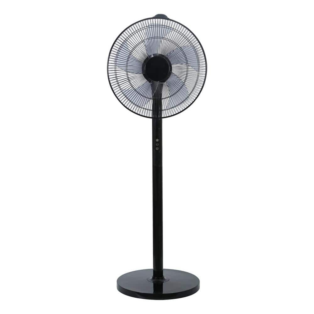 Oscillating 14.5 in. 12-Fan Speeds Standing Pedistal Fan in Black with High