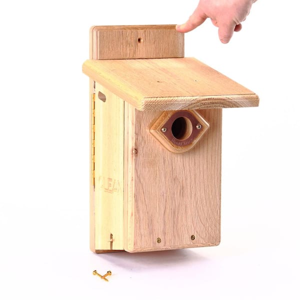 BIRDS choice Ultimate Bluebird House