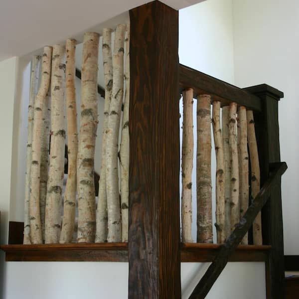 WILSON Decorative White Birch Poles 1-1.5 in. Width 6 ft. Height (Set of 4) 37517