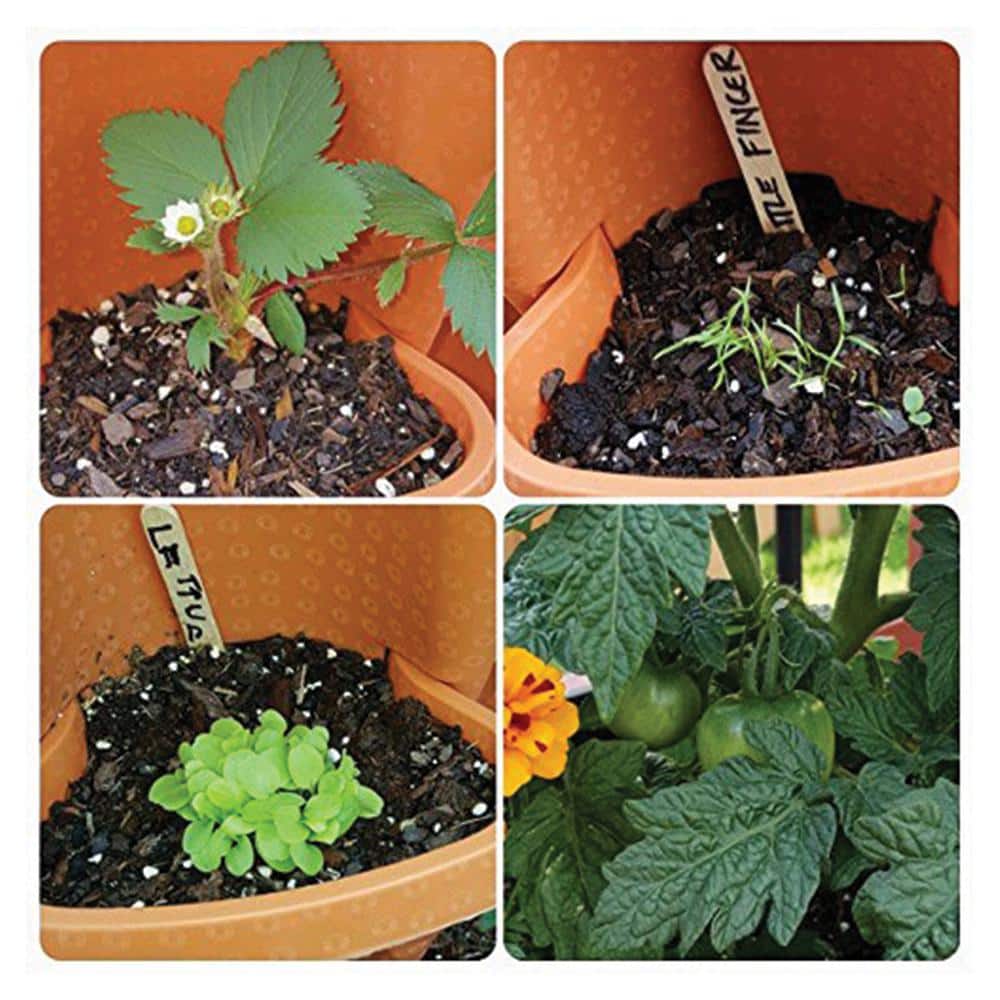 Terracotta 3-Tier Stackable Self-Watering Vertical Planter
