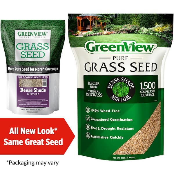 CONCRETE GREEN 3 ／SEEDA DJ ISSO NORIKIYO greenview-grass-seed-2829343-