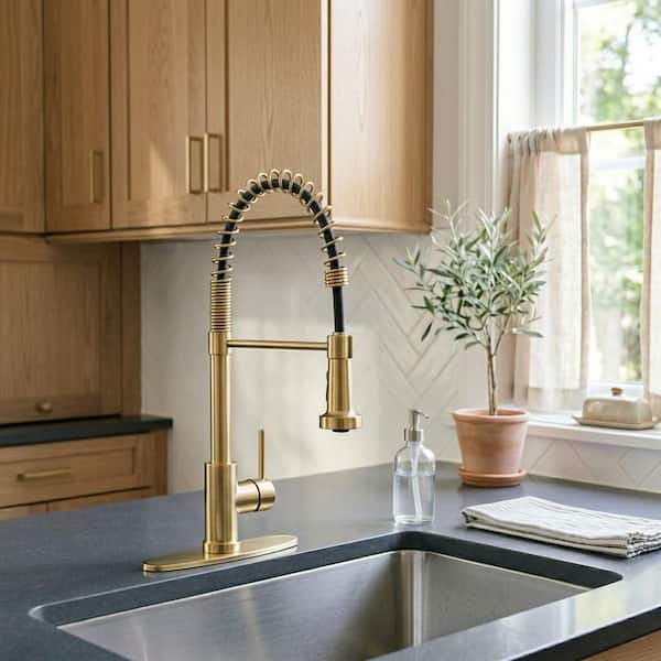 Glacier Bay Riverbend Springneck Single-Handle Pull Down Sprayer