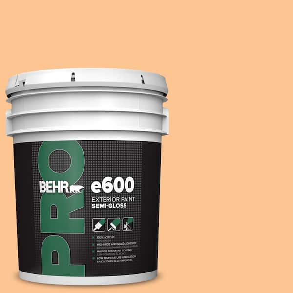 BEHR PRO 5 gal. #P220-4 Dainty Apricot Semi-Gloss Exterior Paint