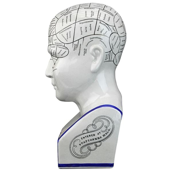 Design Toscano Porcelain Phrenology Novelty Head Statue SP020