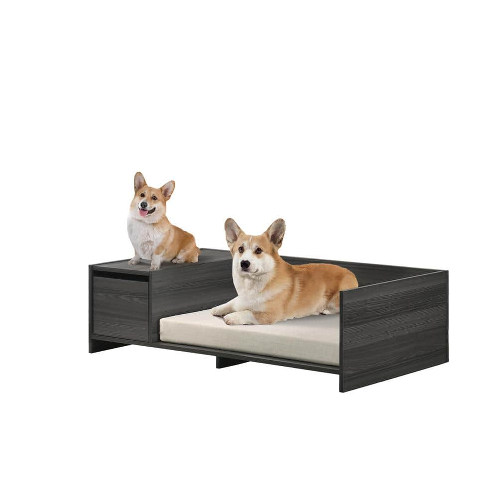 Paws & Purrs Espresso & Sand Pet Bed with Storage Drawer