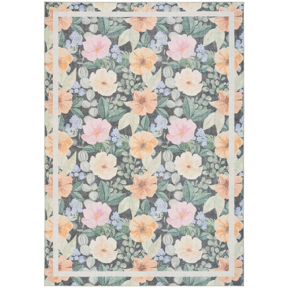 Botanical Washables Charcoal Multicolor 4 ft. x 6 ft. Floral Contemporary Area Rug price history on PriceWatchPro