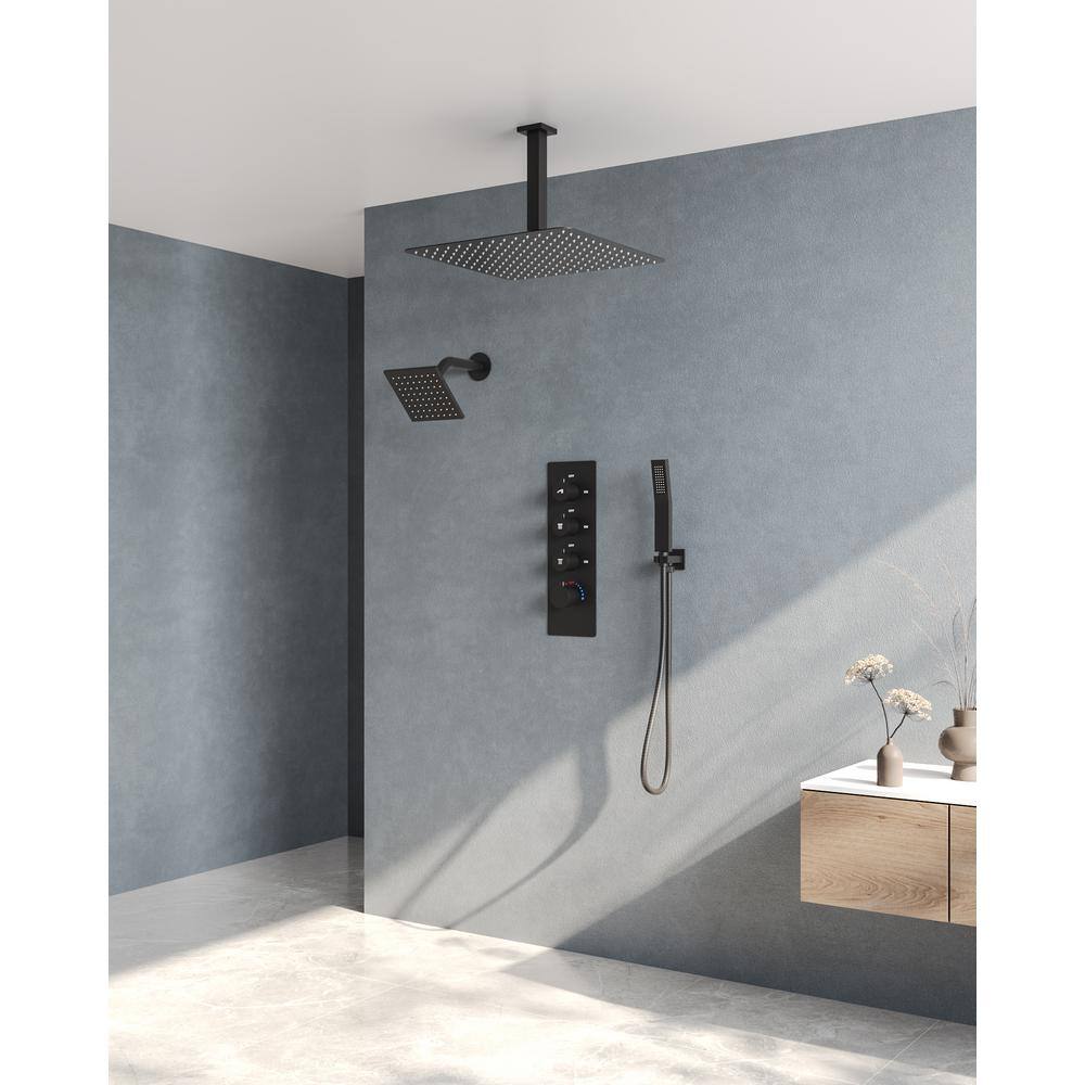 Matte Black Stainless Steel Dual Shower Head System with Thermostatic Valve