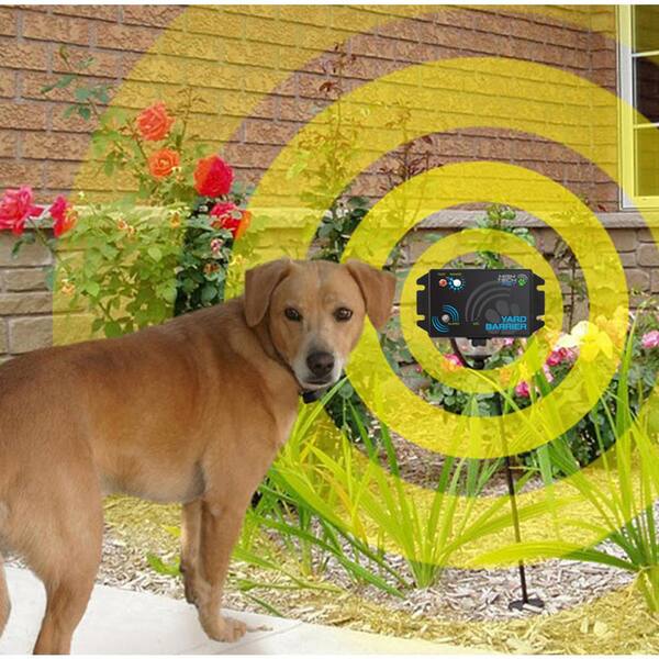 dog fences outdoor home depot