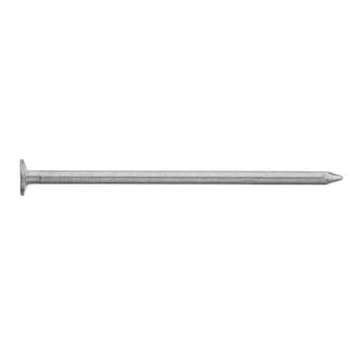 2-1/2in. x 8D Hot Dipped Galvanized Common Nails 10 lbs. (900-Count)
