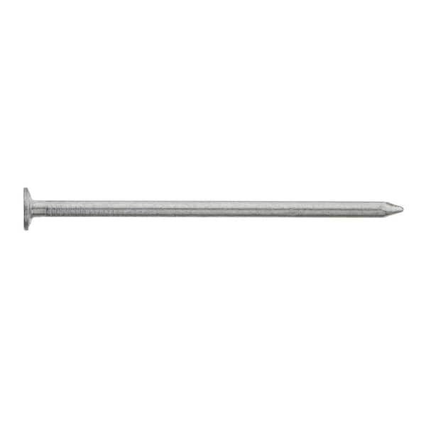 Everbilt 2-1/2in. x 8D Hot Dipped Galvanized Common Nails 10 lbs. (900-Count)