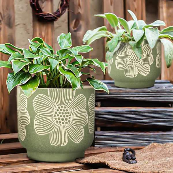 left botanical low 鉢 植物鉢] left botanical 白黒垂れ Mサイズ | A-PLANTS|塊根植物販売