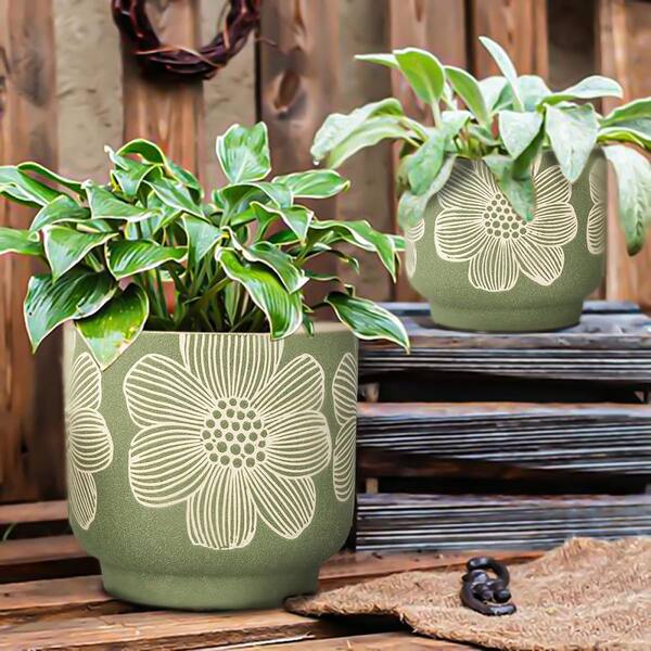tall terrarium plants Vintage Tall Octagon Geometric Tin Glass Terrarium , 12.6" , open, suitable  for tall plants, orchid, small begonia Pitcher, Micro landscape -with
