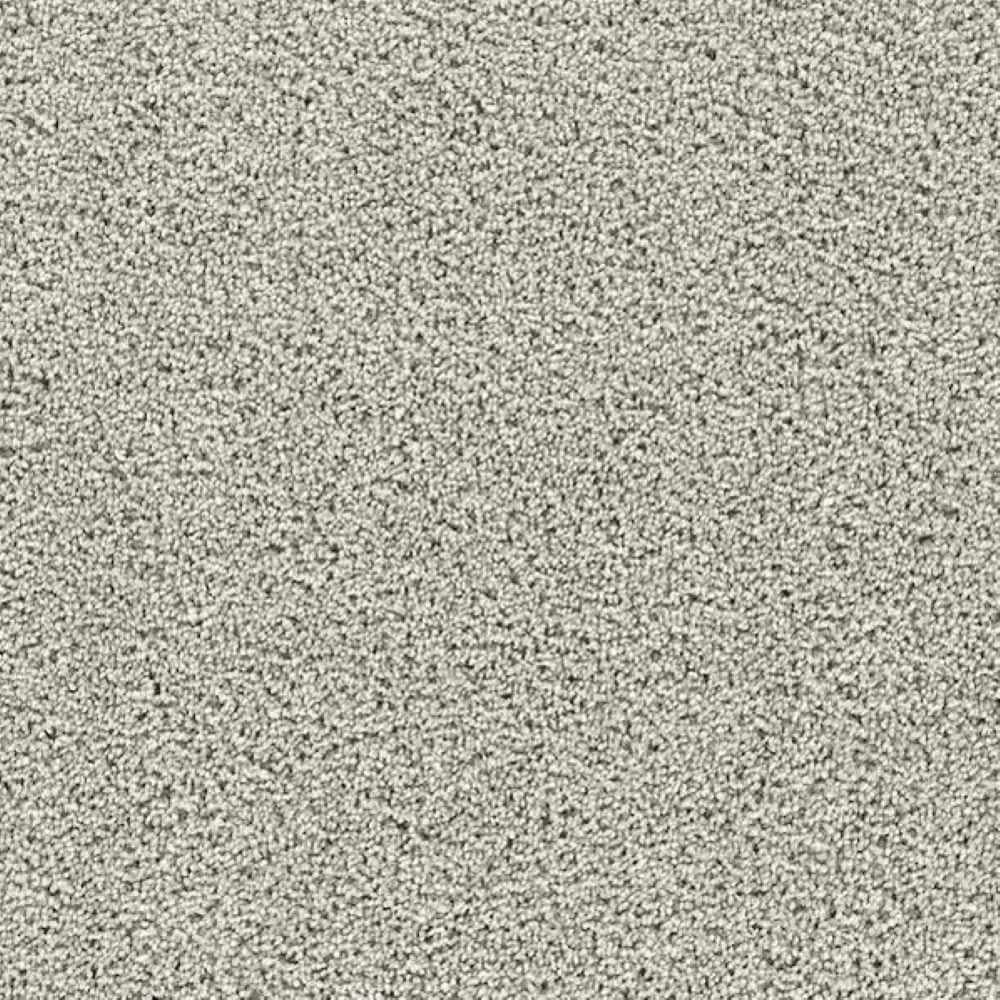 8 in. x 8 in. Texture Carpet Sample-Friendship Fables-Color Harmony price history on PriceWatchPro