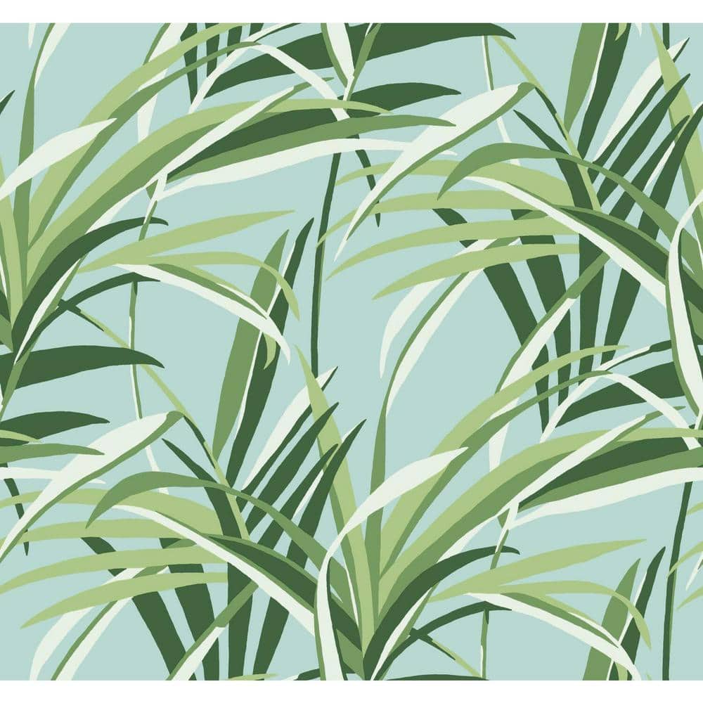UPC 034878000046 product image for 60.75 sq. ft. Tropical Paradise Wallpaper | upcitemdb.com