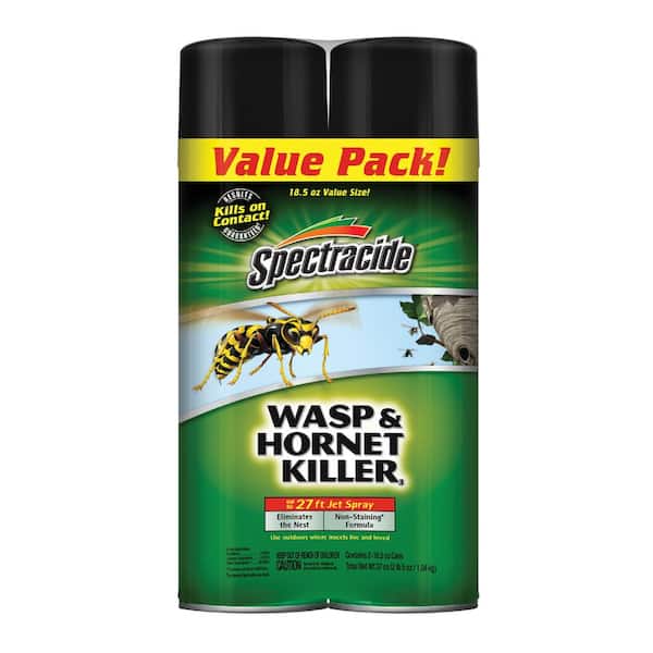 Spectracide 18.5 oz. Wasp and Hornet Killer Aerosol Spray (2-Count)
