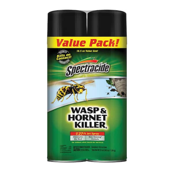 18.5 oz. Wasp and Hornet Killer Aerosol Spray (Insect Killer) (2-Count) (6-Pack)