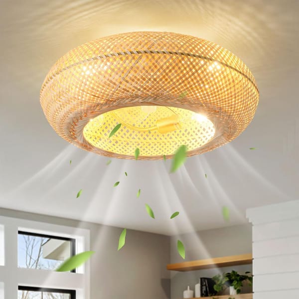 20 in. 4-Light Indoor Boho Bamboo Gold Modern Caged Ceiling Fan With Light and Remote Control 6-Speed Reversible Motor