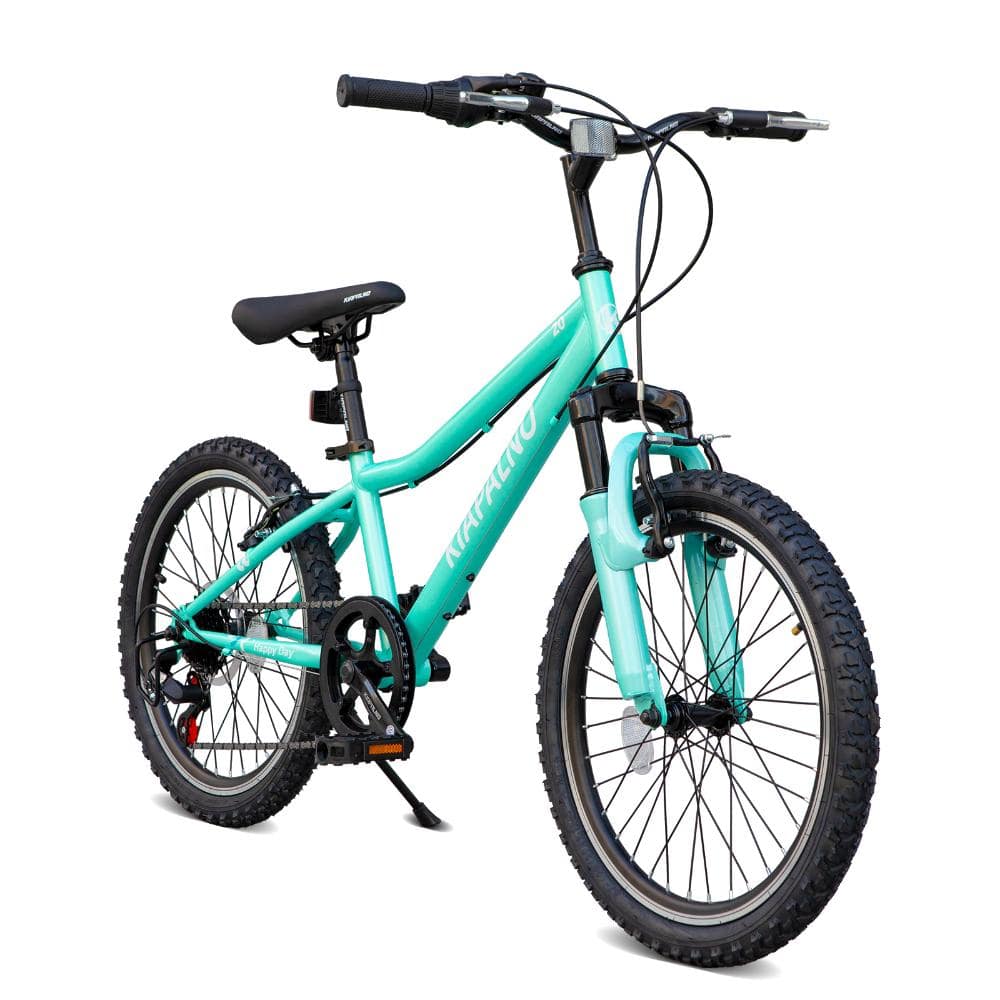 20 Inch 7 Speed Green Dual-Suspension Mountain Bicycle Adjustable Seat for Kids price history on PriceWatchPro