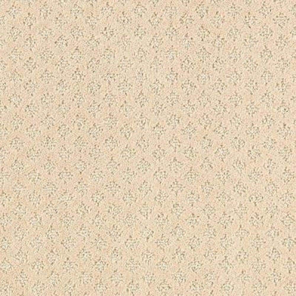 8 in. x 8 in. Pattern Carpet Sample - Lilypad -Color Moonbeam price history on PriceWatchPro