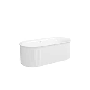 67 in. x 31 in. Freestanding Soaking Bathtub in Glossy White with Brushed Nickel Center Drain