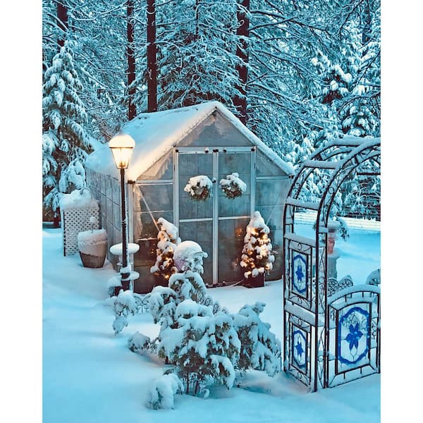 Snap and Grow 8 ft. x 16 ft. Silver/Clear Polycarbonate DIY Greenhouse Kit