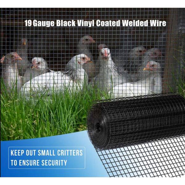 WRIGHTMASTER 3 ft. x 50 ft. 19-Gauge Black Vinyl Coated Welded Wire Fence, Hardware Cloth for Poultry-Netting Cage, Home Improvement