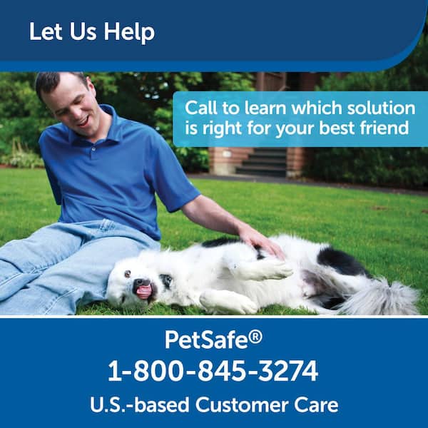 petsafe collar home depot