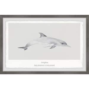 "Delphinus Delphis" by Marmont Hill Framed Animal Art Print 24 in. x 36 in.
