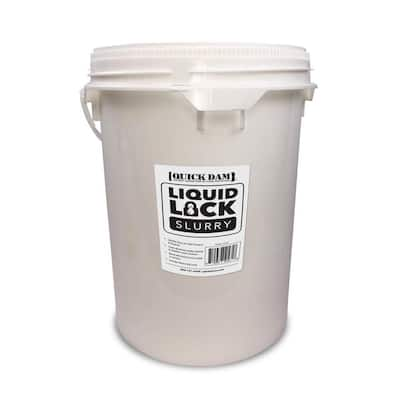 1 gal. Clear Acrylic Sealer Wet Look Satin Finish Professional Grade Fast  Dry Water Based Stone and Clay Brick Sealer