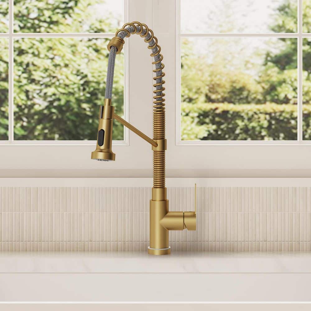 DASHゴールドブリューシステム EVERSTEIN 21.26 in. Single-Handle Pull-Down 2-Sprayer Kitchen