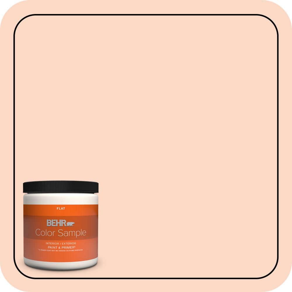 8 oz. #240C-2 Heavenly Song Flat Interior/Exterior Paint & Primer Color Sample price history on PriceWatchPro