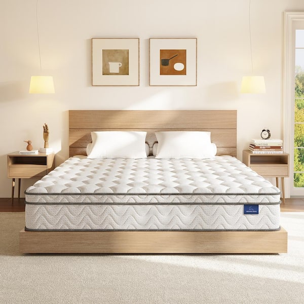 Vesgantti Euro Top Series Twin Medium Hybrid 10 in. Bed-in-a-Box Mattress