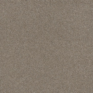 Jack Bay I - Beachside - Beige 48 oz. SD Polyester Texture Installed Carpet