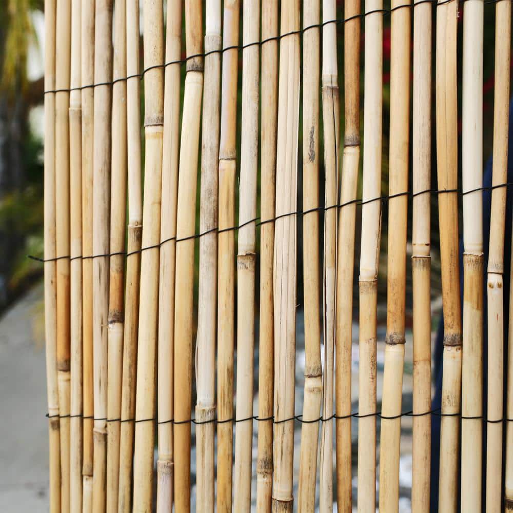 Natural Jumbo Reed Bamboo Garden Fence Screen 6 ft H x 16 ft L