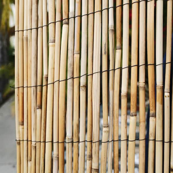 6 ft. H x 16 ft. L Natural Jumbo Reed Bamboo Fencing