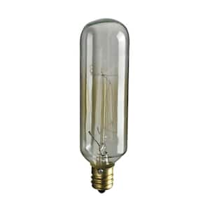 Ogden Collection 40-Watt Incandescent T6 Candelabra Filament Light Bulb - Vintage Style Light Bulb