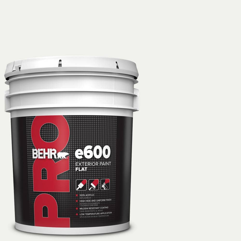5 gal. #610E-1 Windmill Wings Flat Exterior Paint price history on PriceWatchPro