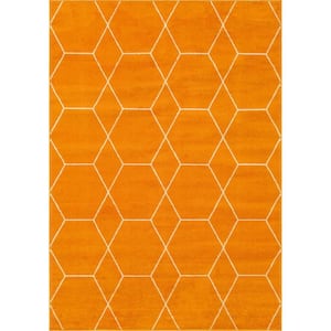 Trellis Frieze Orange/Ivory 7 ft. x 10 ft. Geometric Area Rug