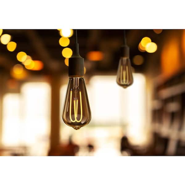 40-Watt Equivalent ST19 Dimmable M Shape Filament Amber Glass E26 Vintage Edison LED Light Bulb, Warm White (12-Pack)