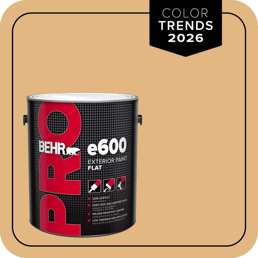 1 gal. #M270-5 Beehive Flat Exterior Paint price history on PriceWatchPro