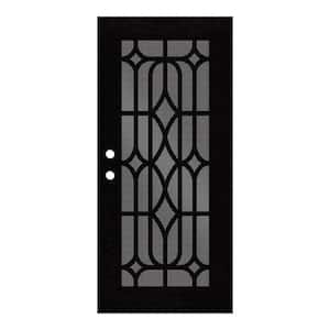30 in. x 80 in. Essex Black Left-Hand Surface Mount Security Door with Black Perforated Metal Screen