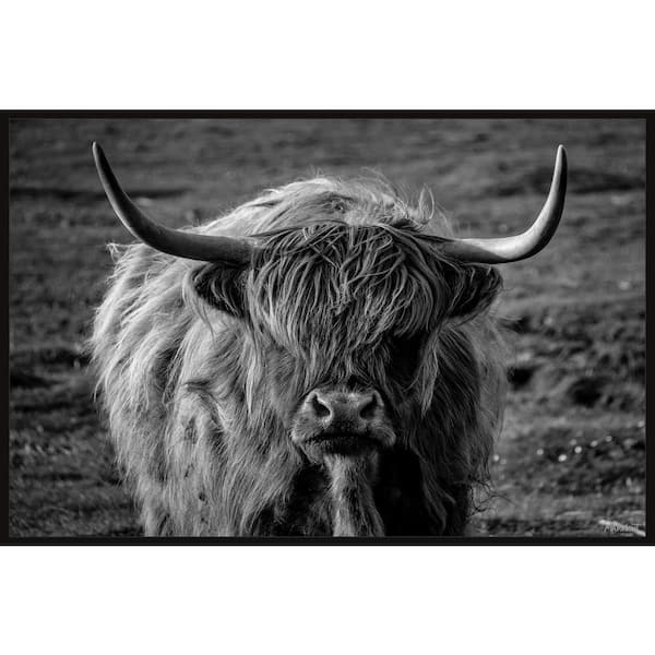 Unbranded "Iconic Beasts" by Marmont Hill Floater Framed Canvas Animal Art Print 16 in. x 24 in.