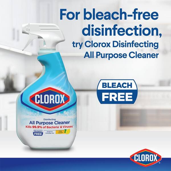 Clorox Company Clorox Clean-Up All Purpose Cleaner Spray Bottle With Bleach  Original, 24 Fl Oz